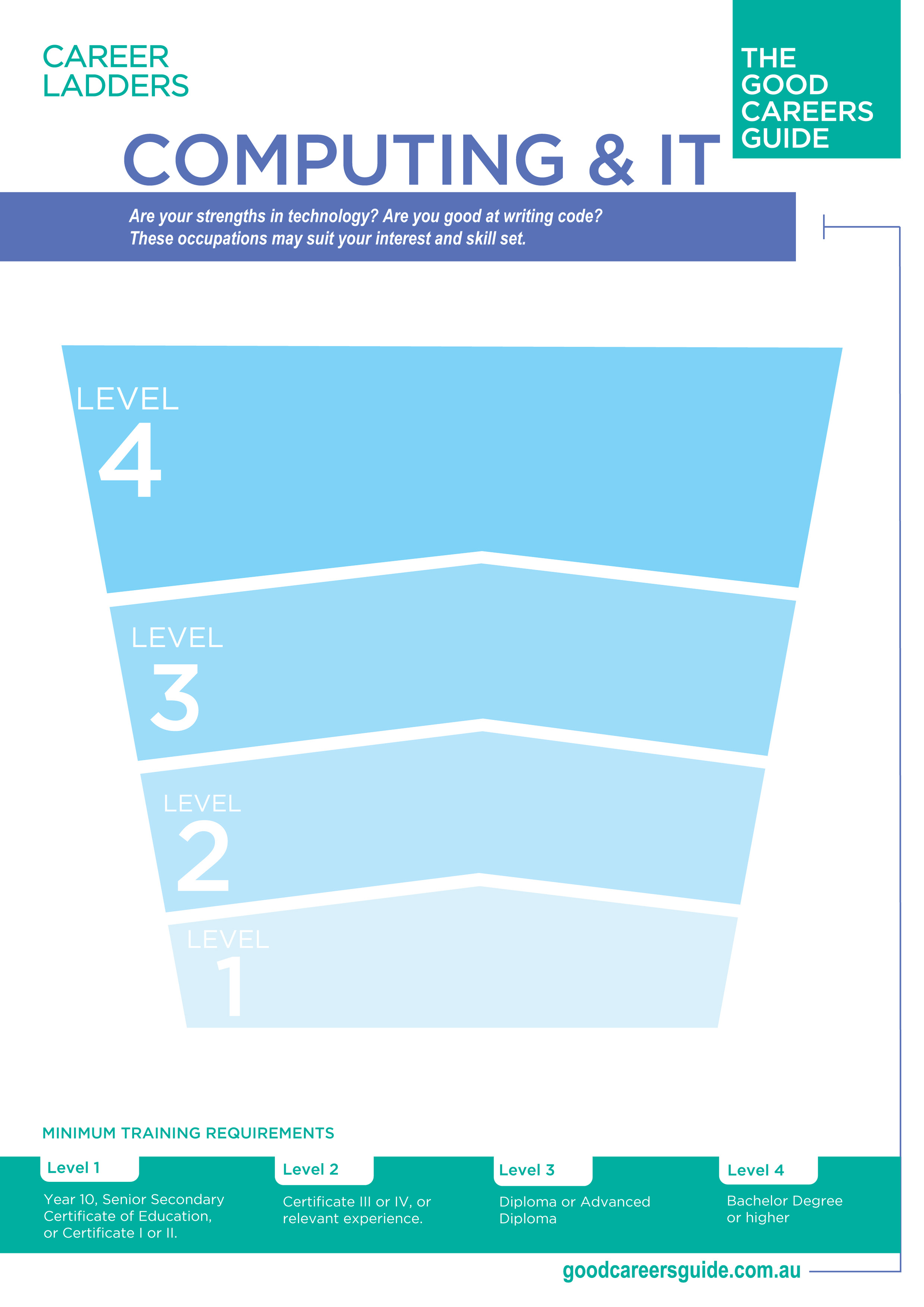 Computing & IT career ladder preview